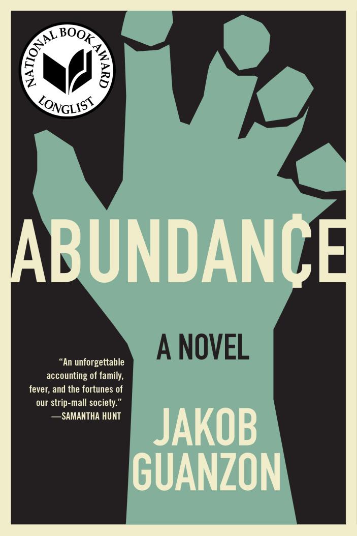 Abundance Bookcover