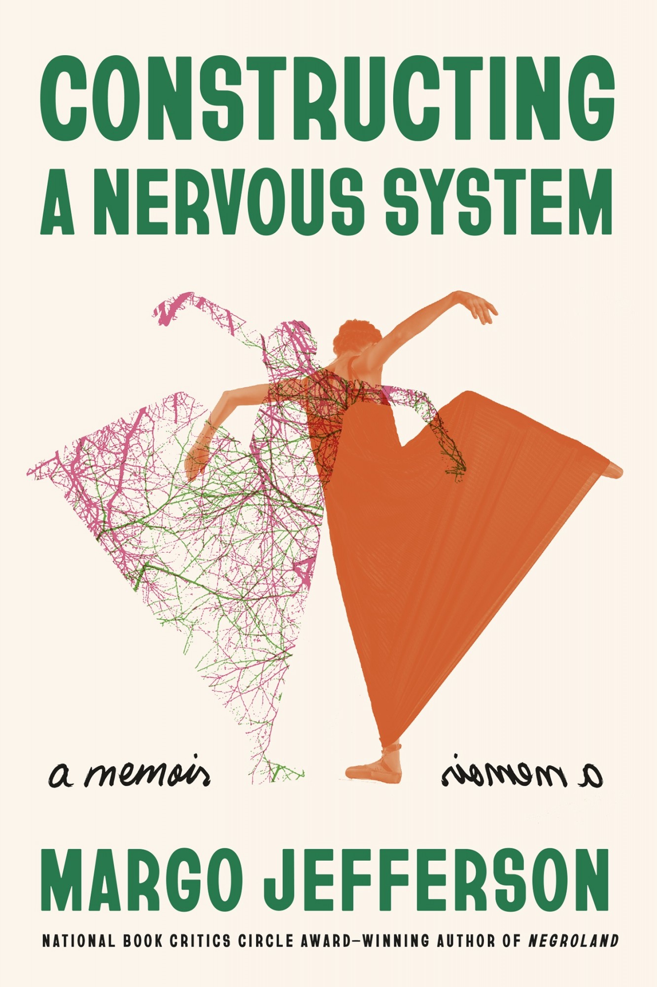 constructing a nervous system book cover