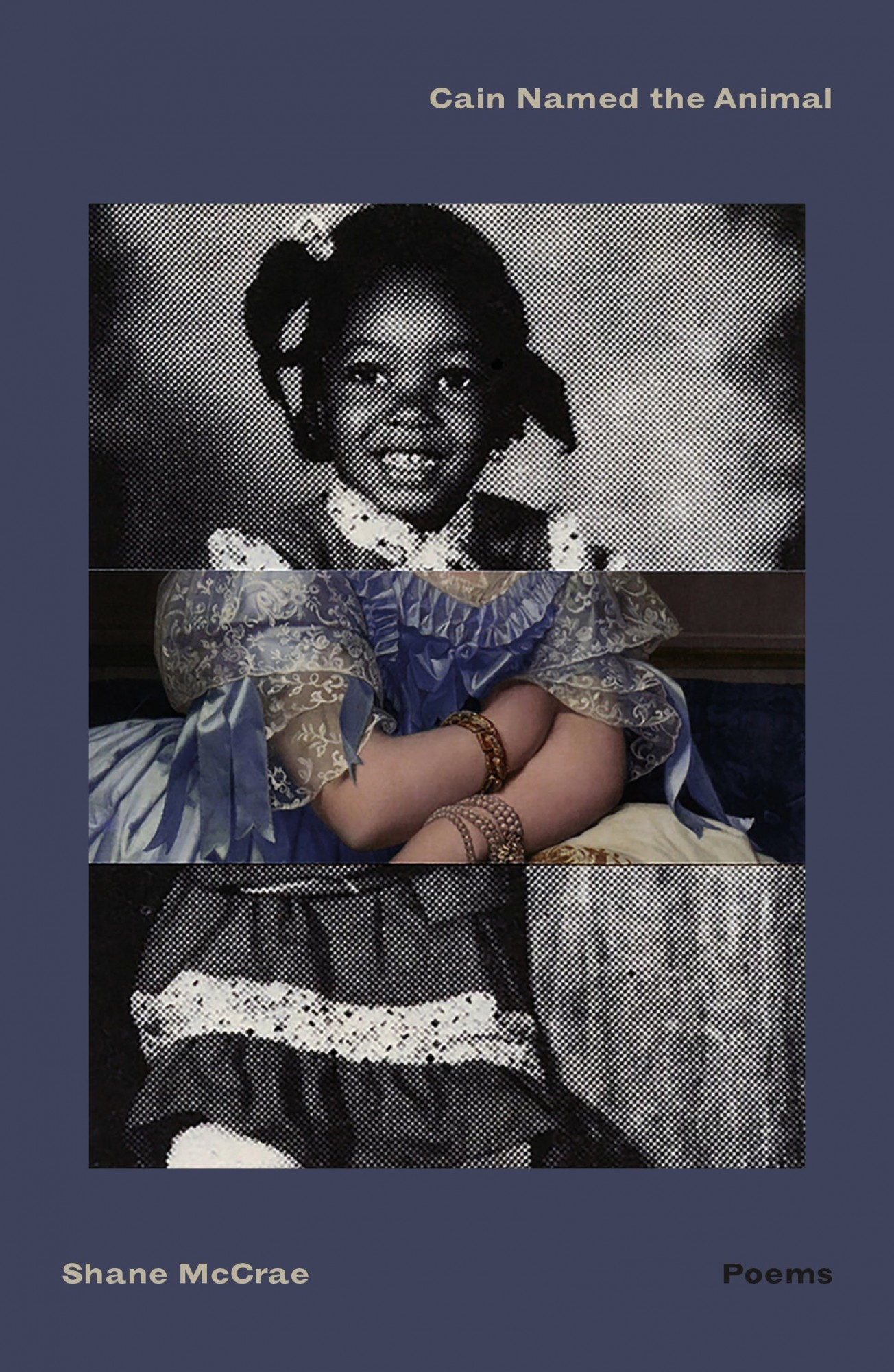 Cain Named the Animal Bookcover