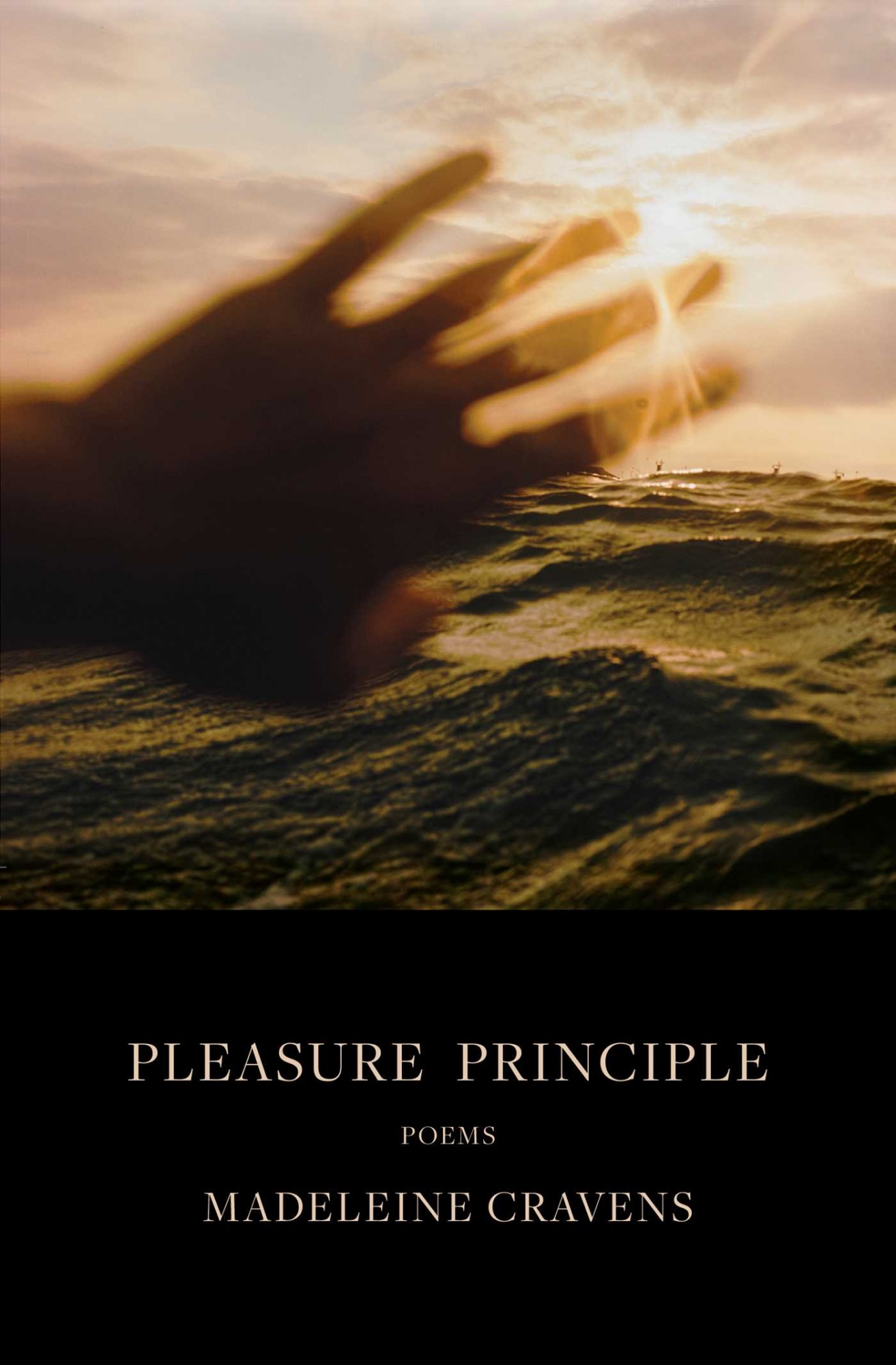 Bookcover Pleasure Principle