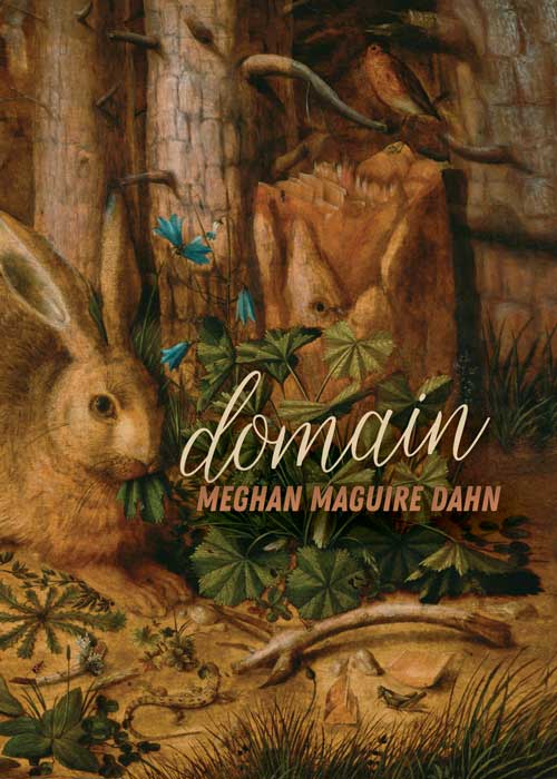 Domain Bookcover