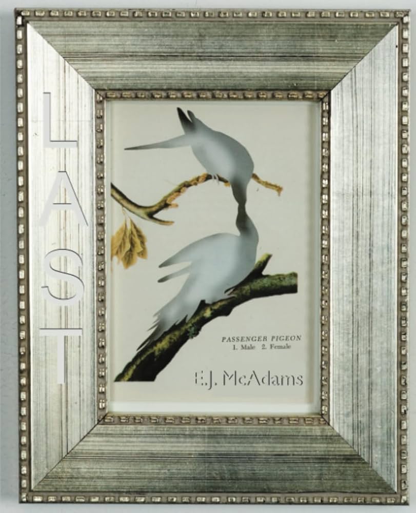 LAST Bookcover