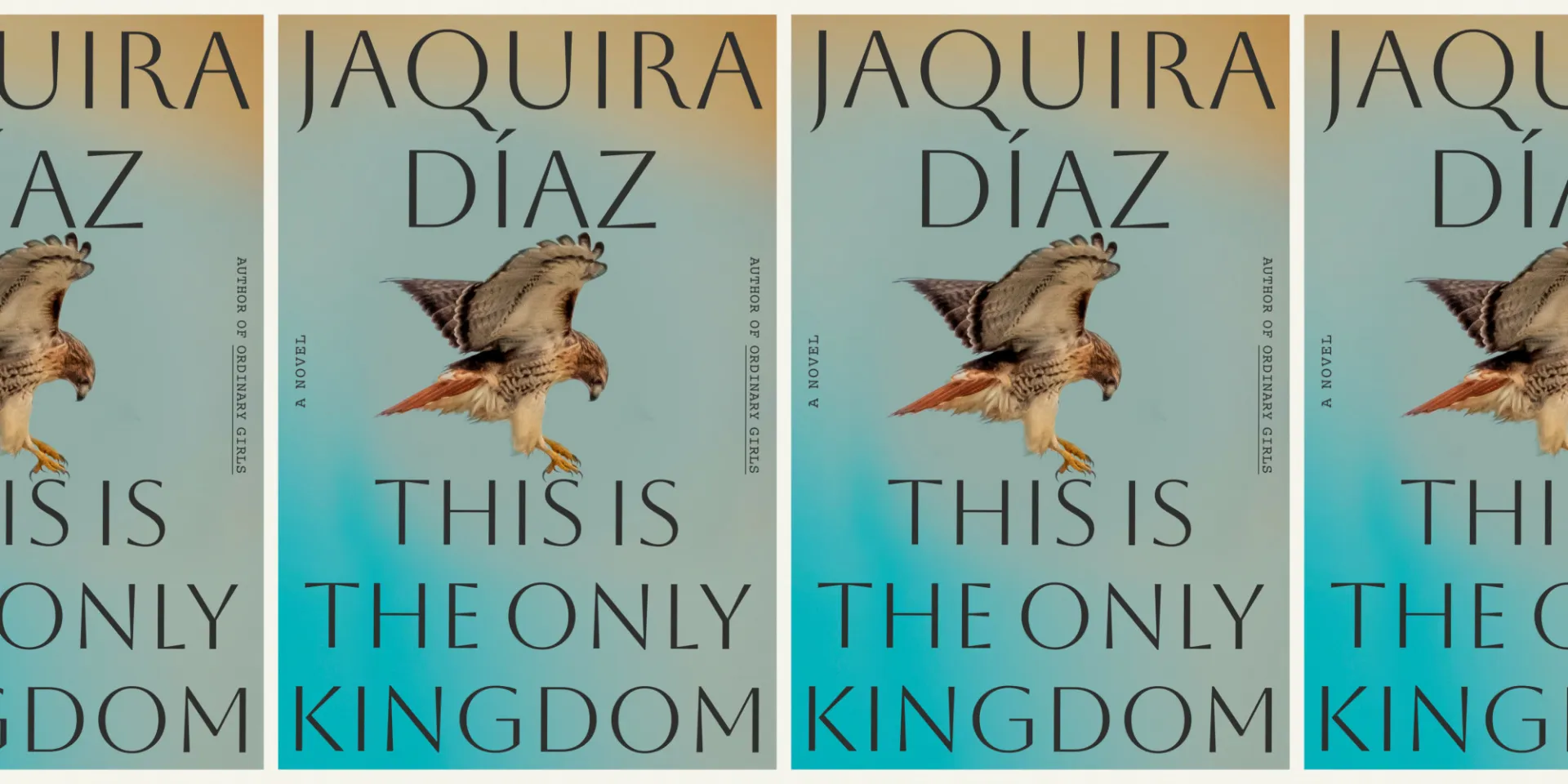 book cover for 'This is the Only Kingdom'