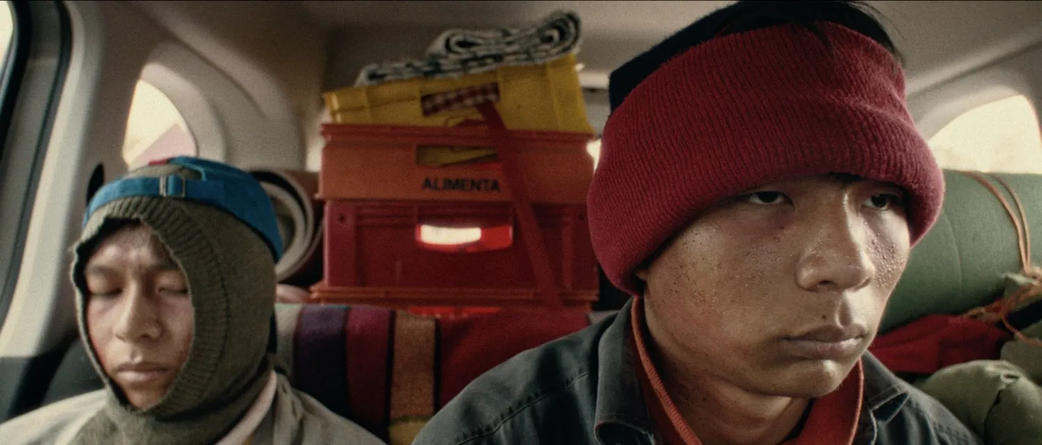 Still from 'Berry Pickers'