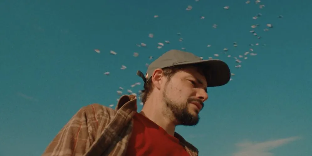 A group of pigeons flies in a blue sky behind a man's head. 