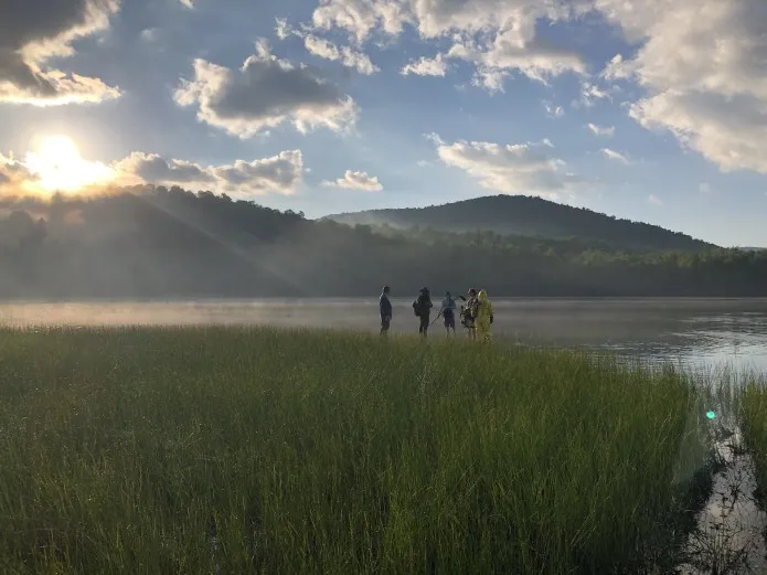 Five people in a marsh