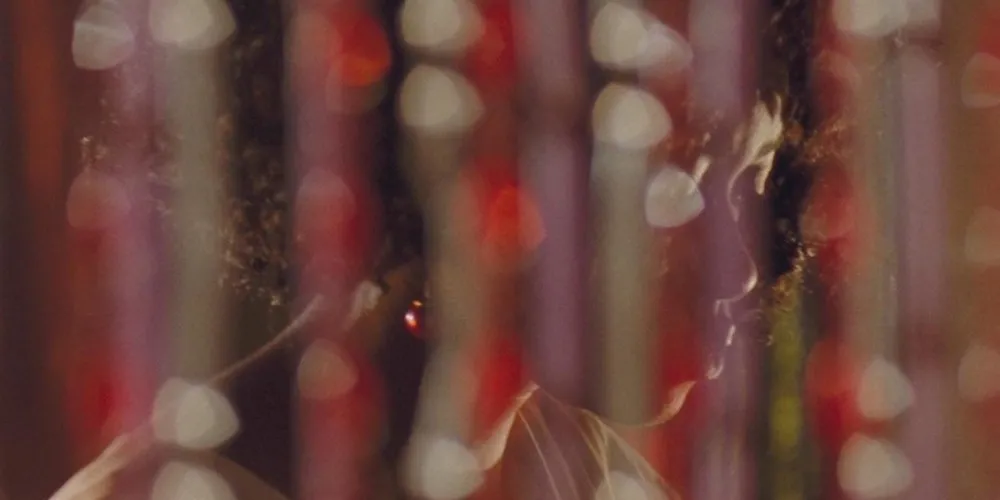Woman behind beaded curtain