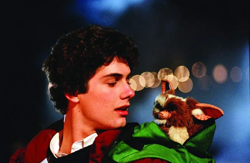 Zach Galligan in 'Gremlins' (1984), courtesy of IMDb