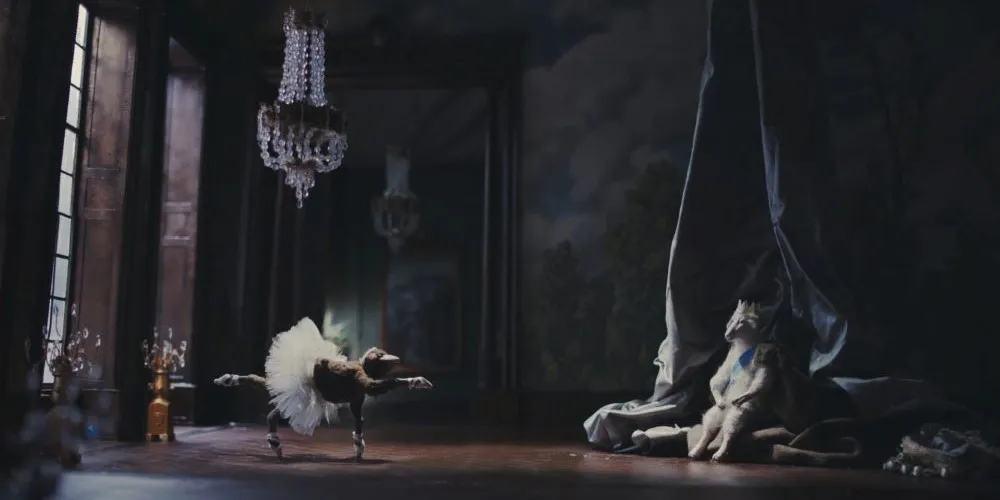 Dog in ballerina suit 