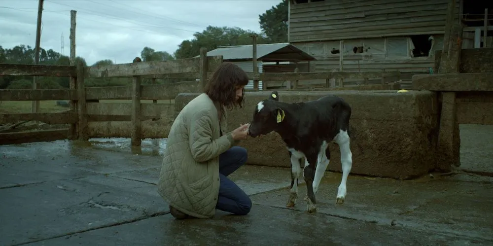 Still from 'The Cow Who Sang A Song Into The Future,' courtesy of Kino Lorber
