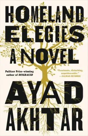 'Homeland Elegies' book cover