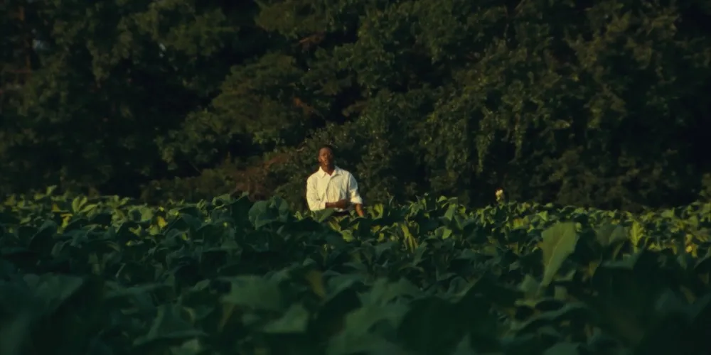 Man stands in field. 
