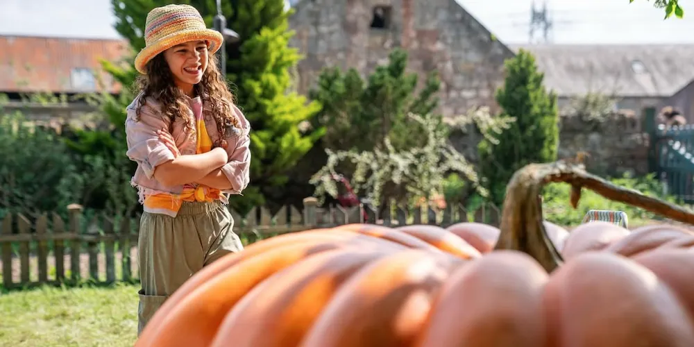Young girl smiles while looking at a large pumpkin.