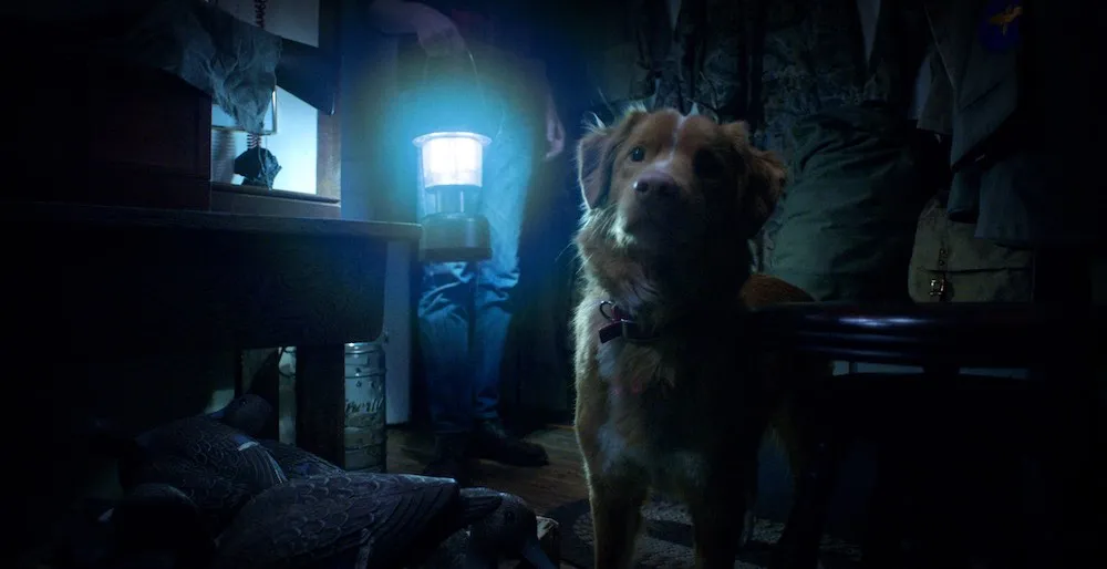A dog stands in front of a man holding a lantern in a dark room. 