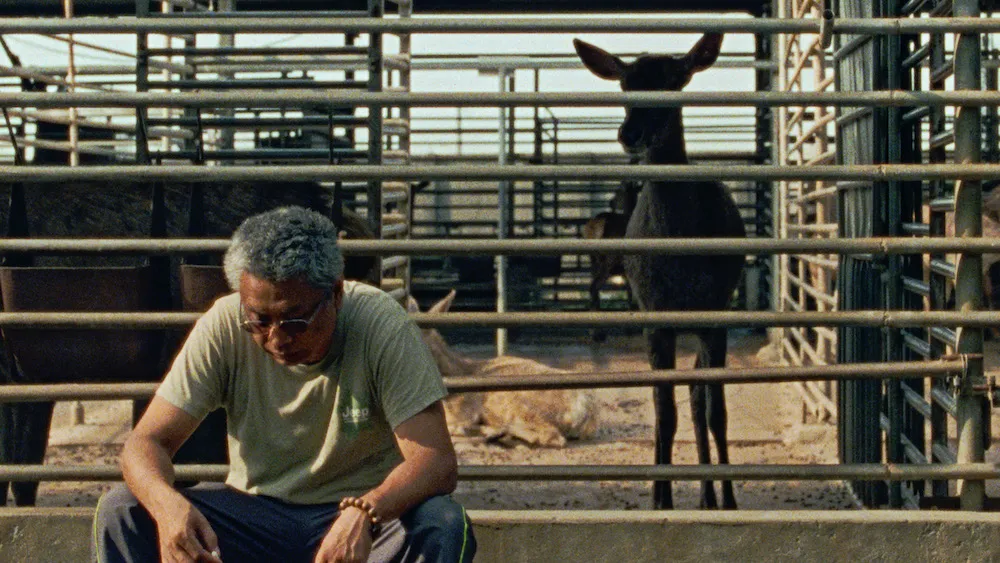 Still from "The Stag"
