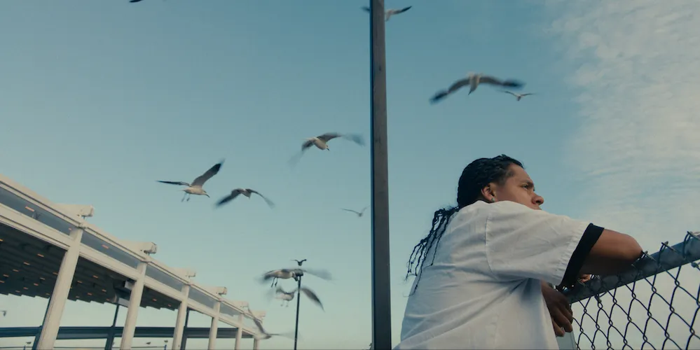 Man stands below flying seagulls. 