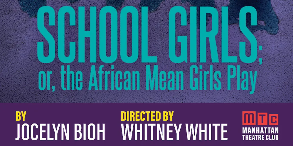 'School Girls; Or, The African Mean Girls' poster.