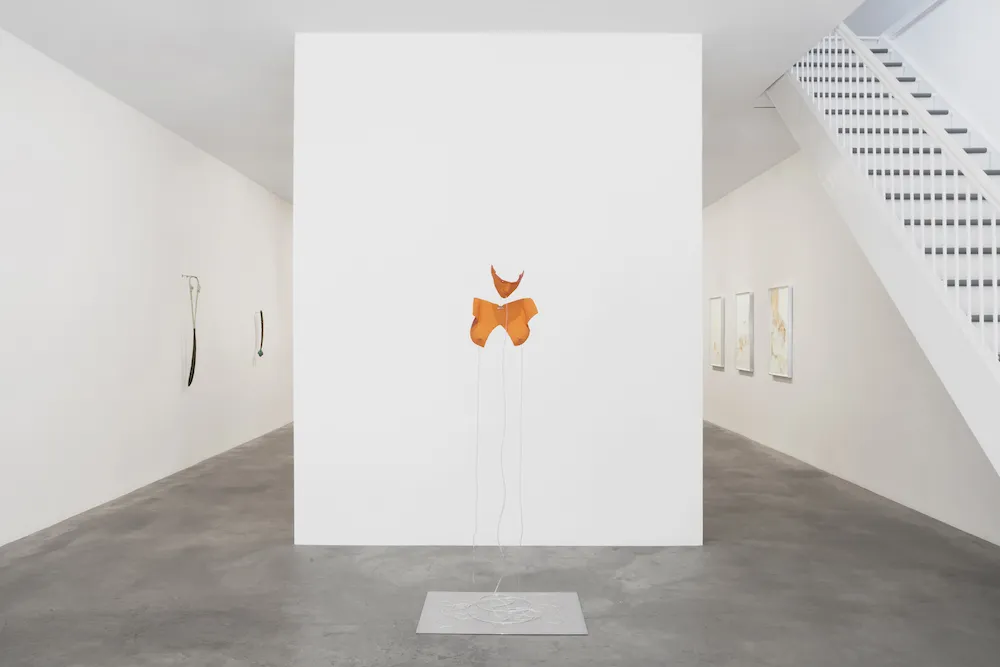 Julia Phillips '15 'Me, Ourself & You" (©​ Julia Phillips, Courtesy Matthew Marks Gallery)