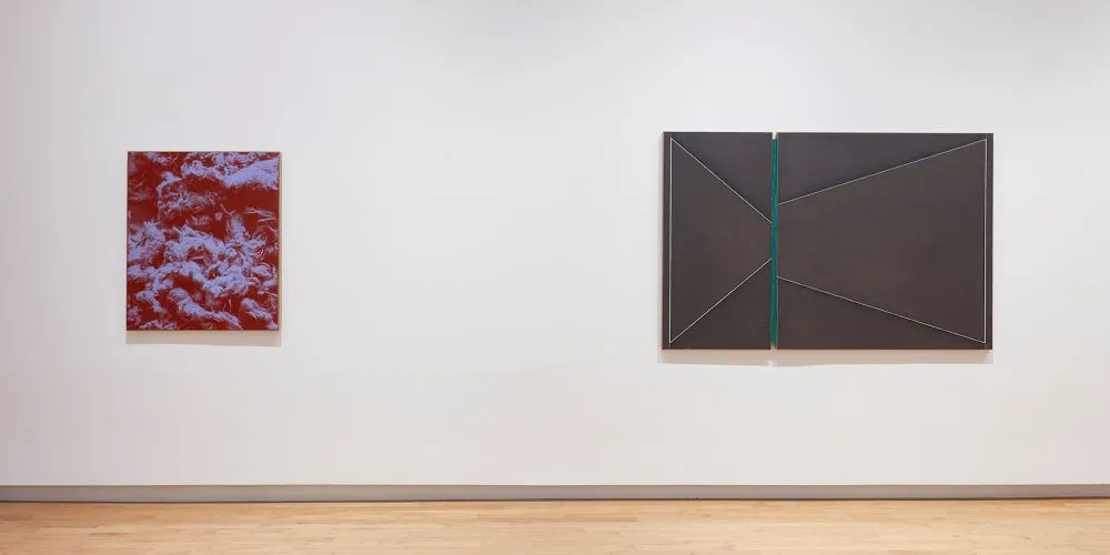 Installation view: N. Dash, The Aldrich Contemporary Art Museum, CT, through September 15, 2019, Photo: Jason Wyche, Courtesy the artist and Casey Kaplan, New York
