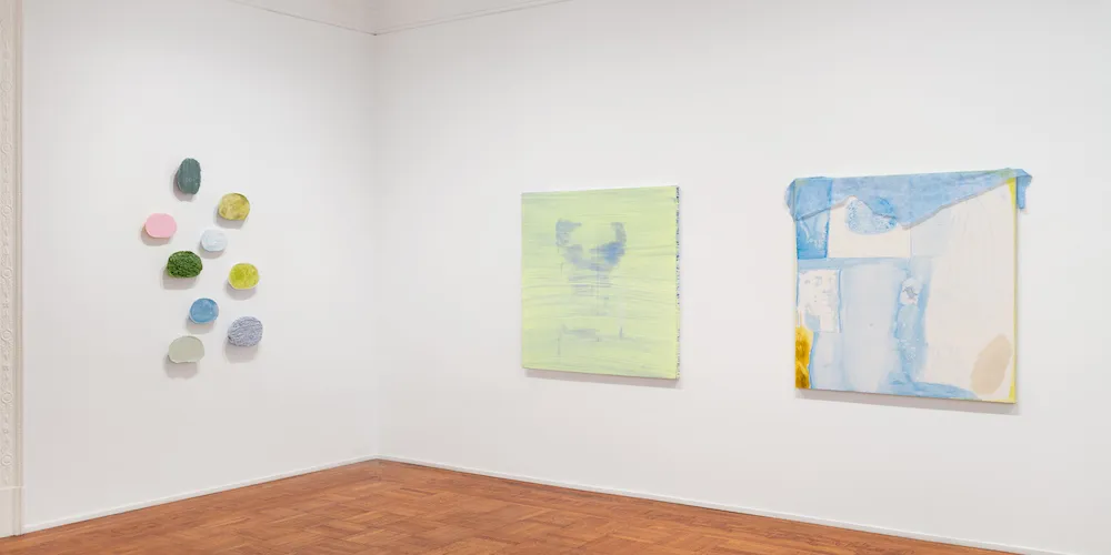 'Abby Robinson,' installation view.