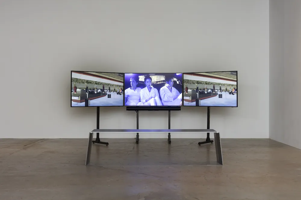 Alison Nguyen '23, 'history as hypnosis V03,' installation shot. Courtesy of Murmurs Gallery and the artist, Photo by Josh Schaedel 