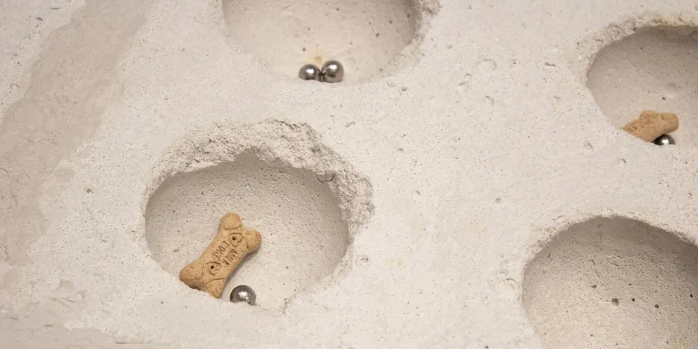 Image of a dog treat in a hole next to a steel ball bearing.