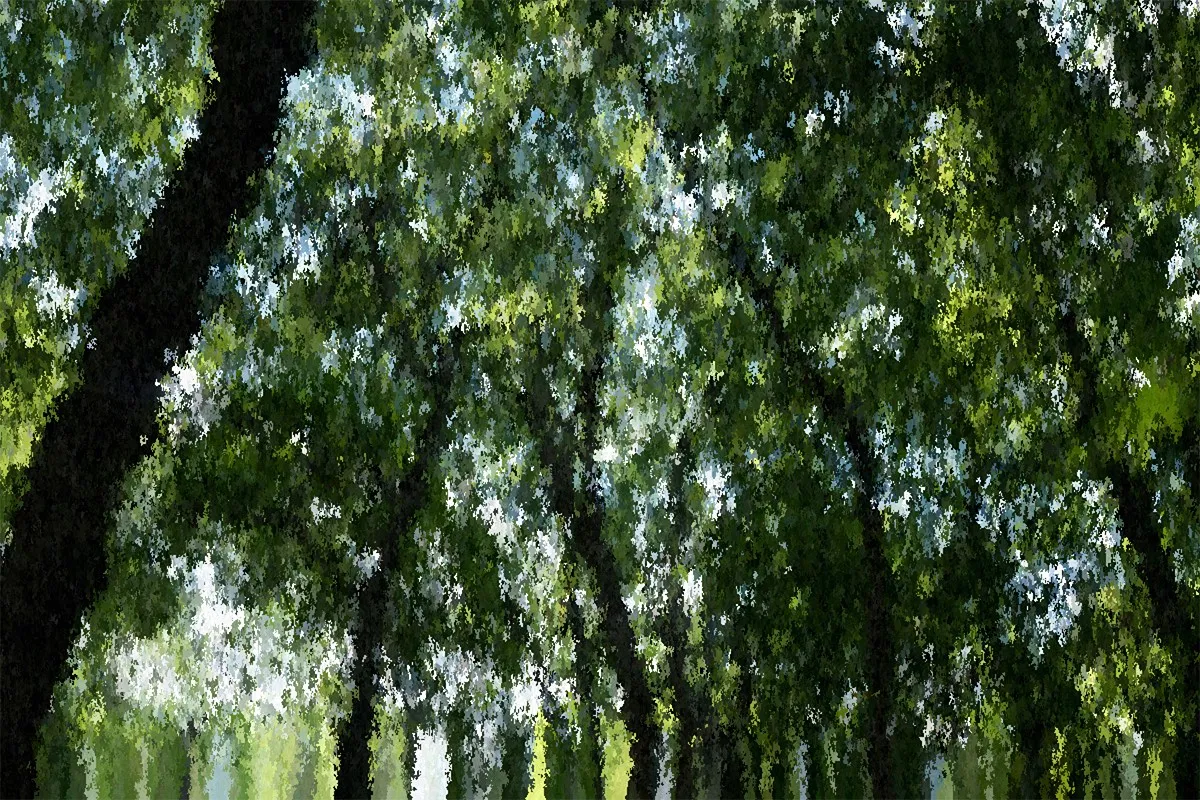 art