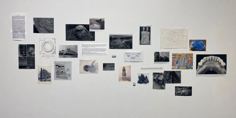 Student Linnéa Gad's research wall
