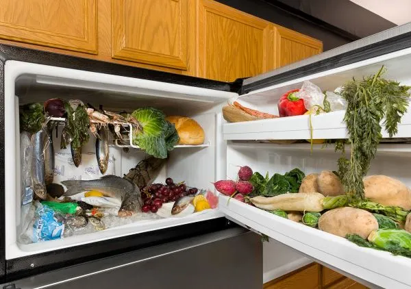 freezer full of vegetables and fish