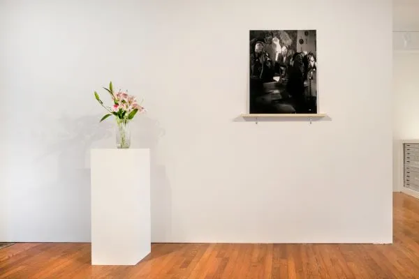 Gallery of photographs