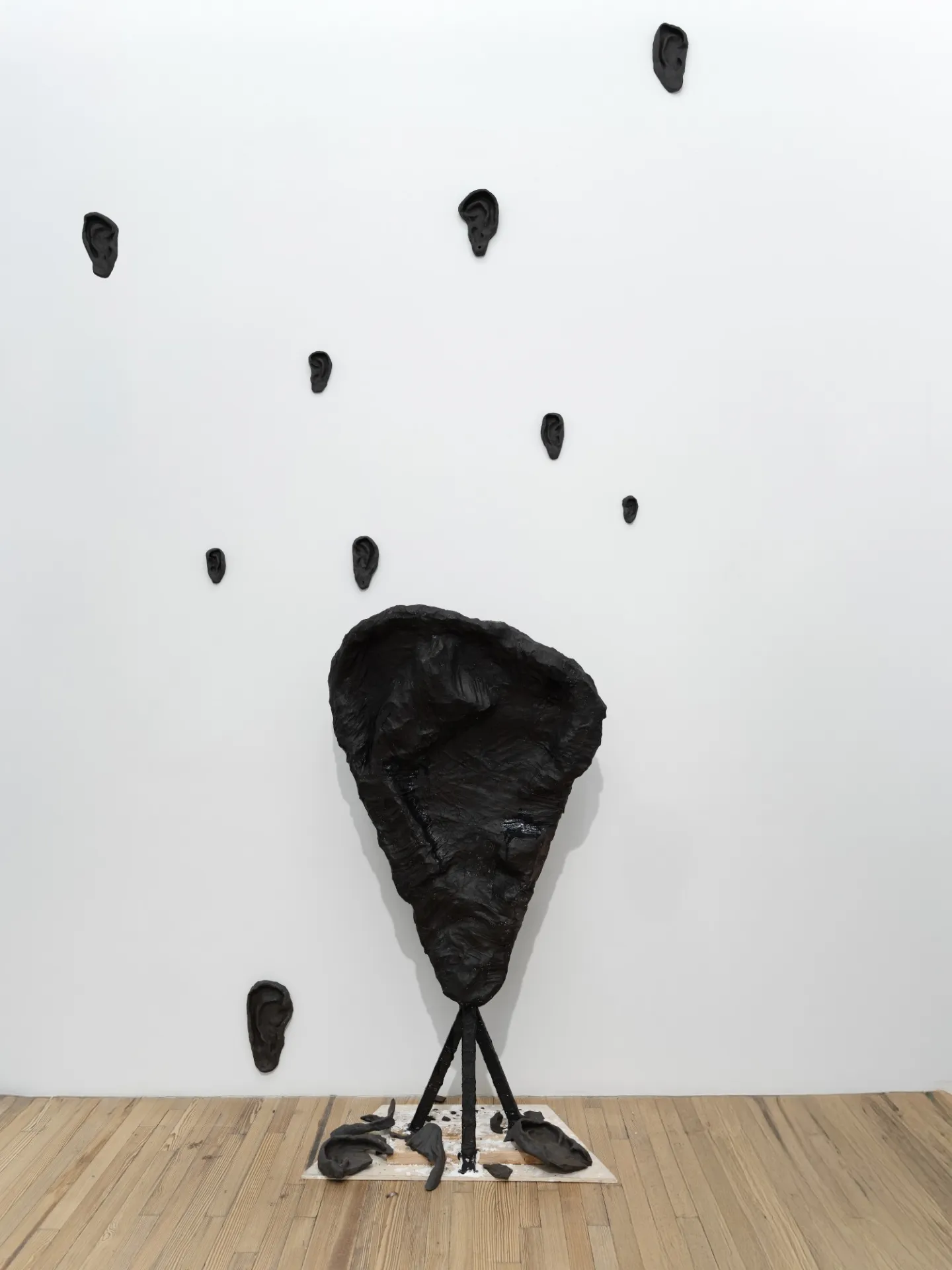 Black ear sculptures installed on a white wall. 