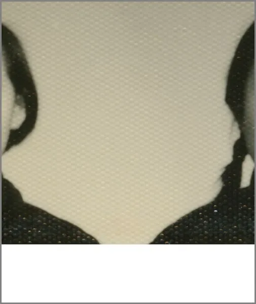 two partial silhouettes