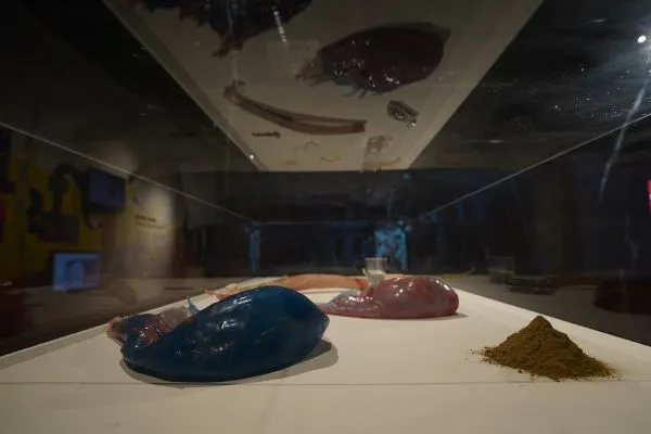 visual art exhibit