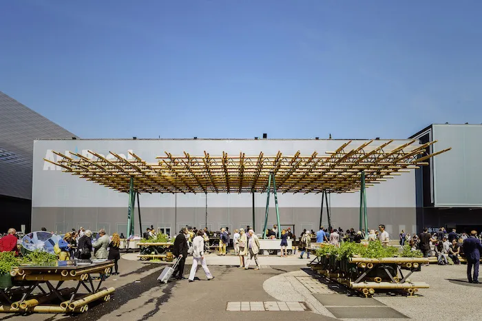 Elevated bamboo installation in an open air plaza