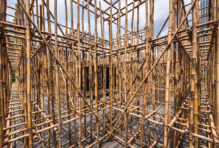 Complex vertical bamboo structure
