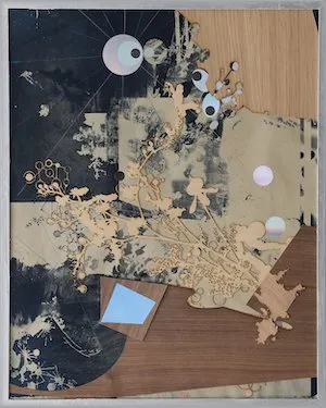 Cyanotype by Tomas Vu-Daniel