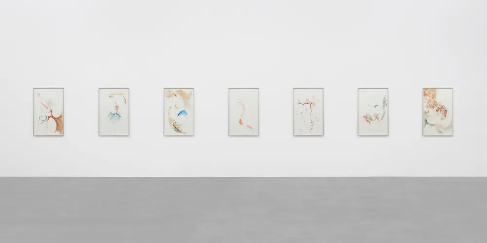 Julia Phillips '15, 'Conception Drawing II - VIII" (2021-2021, ©​ Julia Phillips, Courtesy Matthew Marks Gallery)