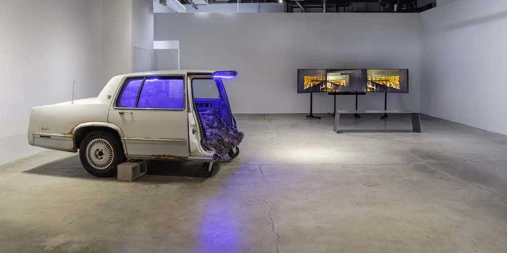 Alison Nguyen '23, 'history as hypnosis V03,' installation shot. Courtesy of Murmurs Gallery and the artist, Photo by Zak Kelley