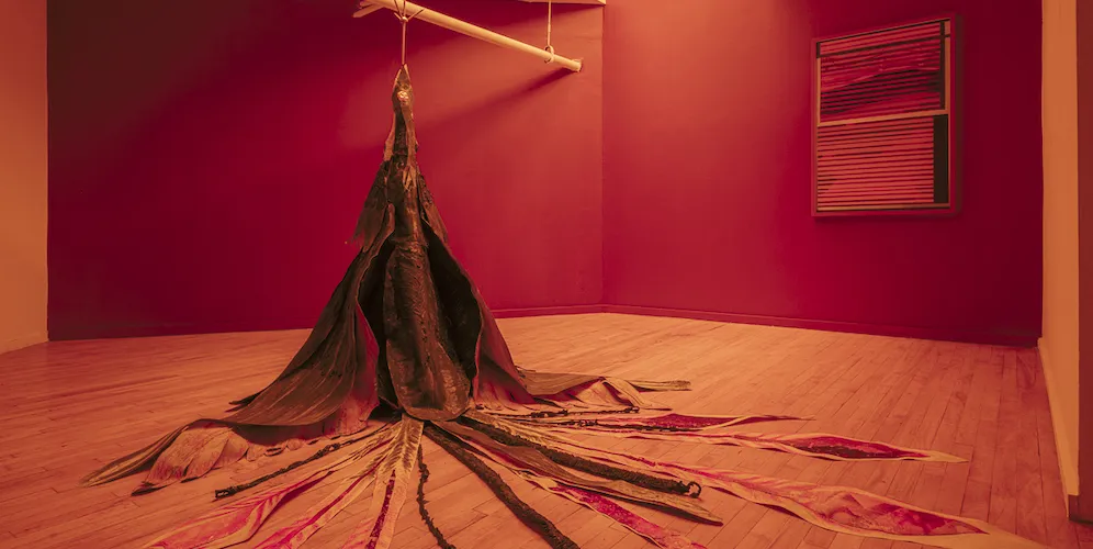 Installation view: The Seeker & The Imposter by Barış Göktürk ’20