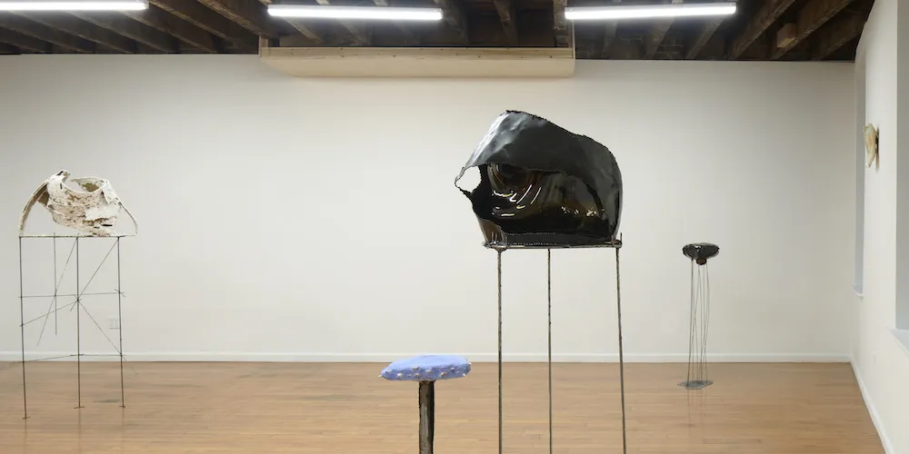 Linnéa Gad '22, 'Return of the Mollusk' (installation view). Photo by David Schulze. Courtesy of Astor Weeks
