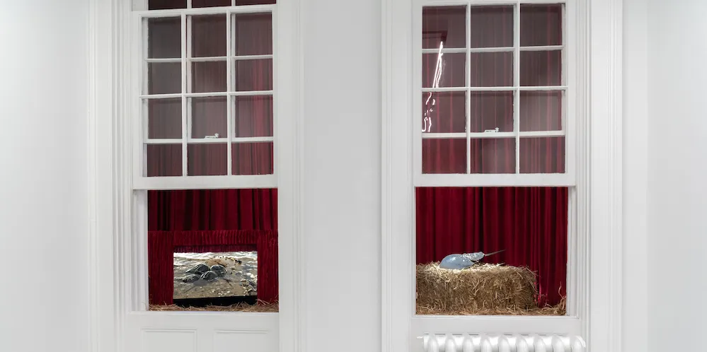 art installation seen through two open windows
