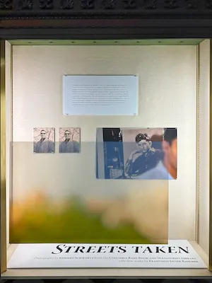 installation view of artwork in display cases