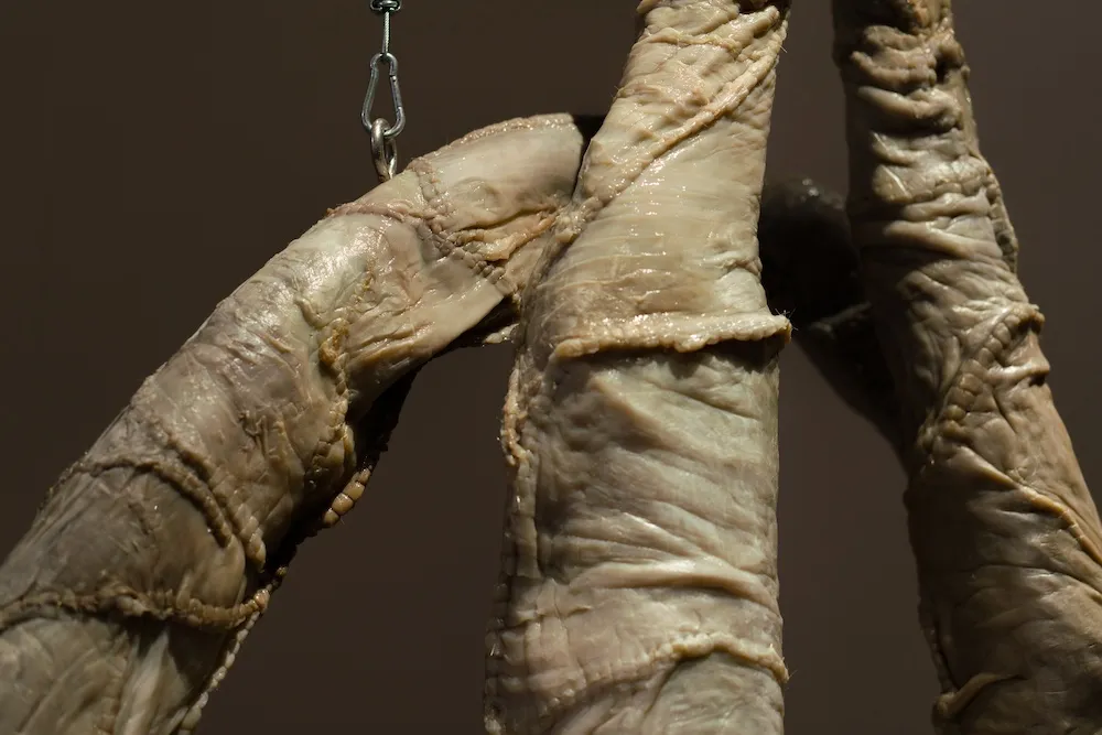 Close up of sculptural art. 