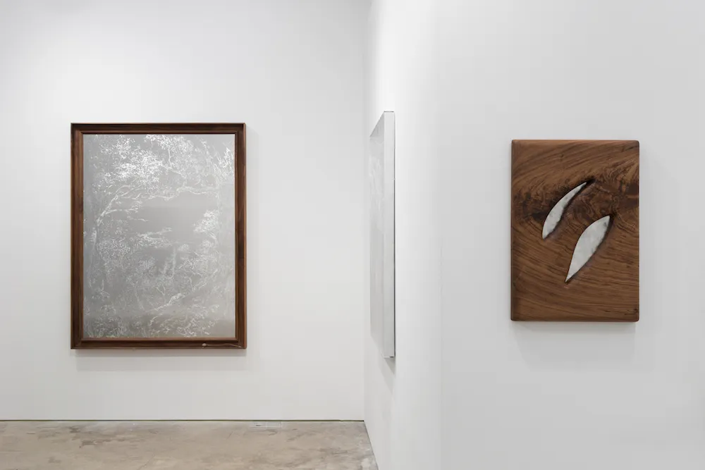 art on display in a gallery