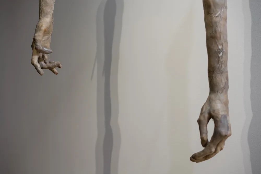 sculptural limbs hang from a ceiling 