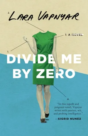 Book cover for 'Divide by Zero'