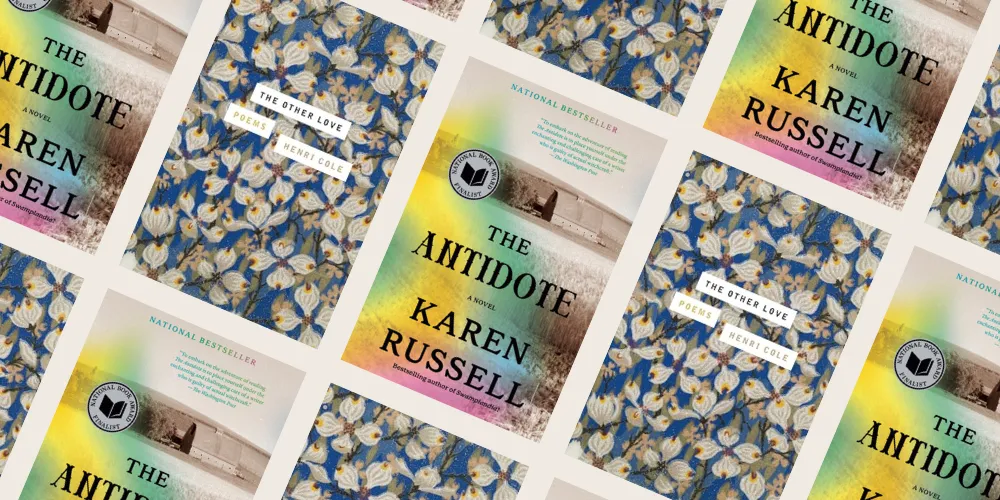 book covers for 'The Antidote' and 'The Other Love'