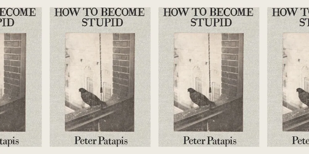 Collage of book cover "How to Become Stupid"