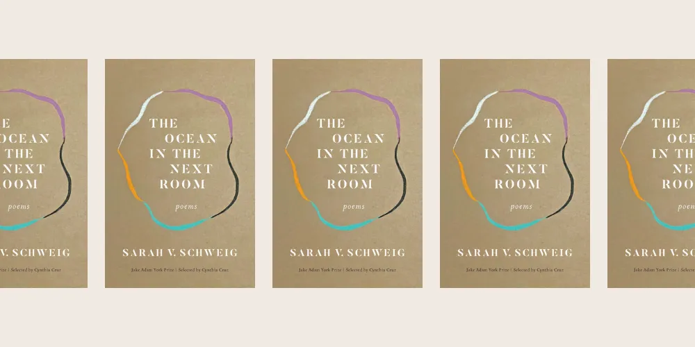 Book cover of "The Ocean in the Next Room."