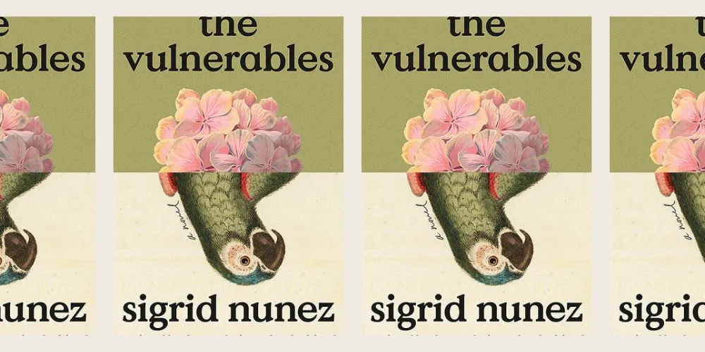 Book cover of The Vulnerables